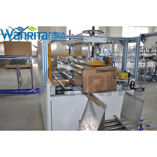 Automatic Robotic Pick-Up Bottle Top-Loading Carton Packing Machine