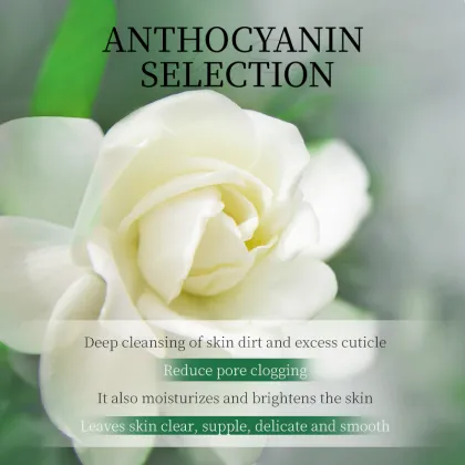 Dr. NL Anthocyanin Bubble Mask Deep Pore Cleansing & Exfoliating Facial Treatment