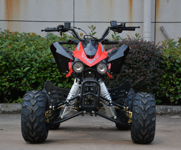 110cc Kids Racing ATV/Quad Bike Cheetah (ATV-8 Series)