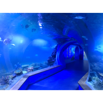 Grand tunnel d&#39;aquarium en acrylique transparent personnalisé