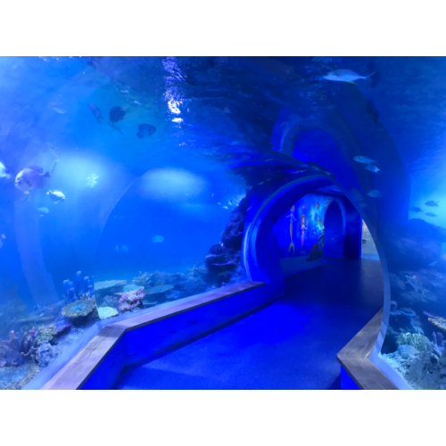Transparent Panel Clear Luxury Acrylic Aquarium Tunnel