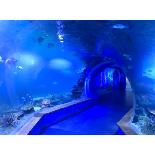 Large underwater World restaurant acrylic aquarium tunnel