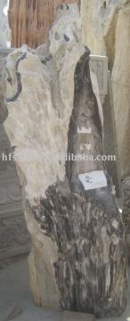 Wood Petrifaction/wood petrifaction/wood fossil