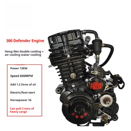 Search Engine for Motorcycle Engines: Hanwei 300 Liquid-Cooled Trike Engine, Zongshen Engine & More