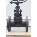 https://www.bossgoo.com/product-detail/high-pressure-forged-steel-globe-valve-62926058.html