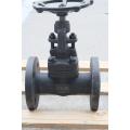 Flanged Globe Valve High pressure forged steel globe valve Supplier