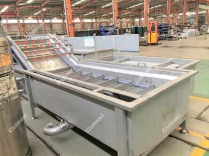 Raisin Spray Washing Machine