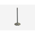 Engine Intake Valve - Fits Caterpillar C15, 3406E