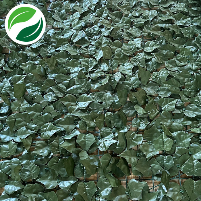 Artificial leaves simulate sweet potato leaves