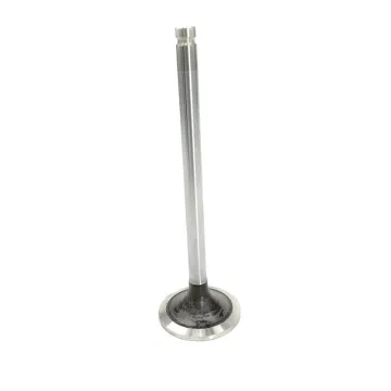 FCEC good quality electric engine parts intake exhaust valve 3927255