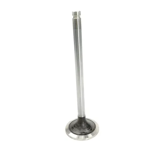 FCEC good quality electric engine parts intake exhaust valve 3927255