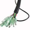 Arnés de cable de alambre de encendido