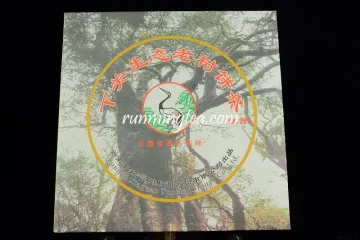 2010 Xiaguan Factory Wild Tree Raw Yunnan Qizi Bing Cha
