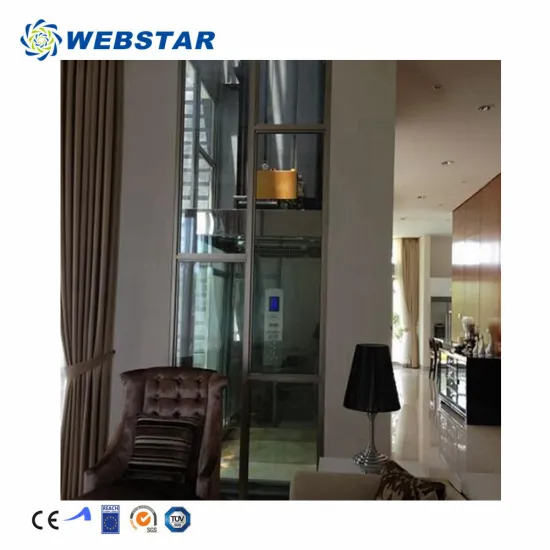 Elevator Factory Home Residential Lifts: 200-400 kg Capacity