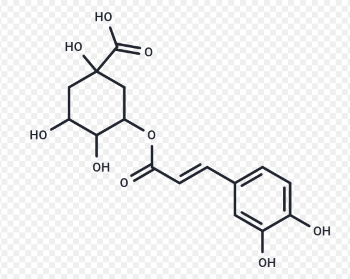 High Purity Chlorogenic Acid Powder