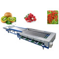 Cherry tomatoes sorting machine