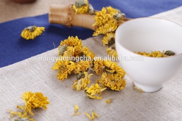 blooming tea chrysanthemum tea