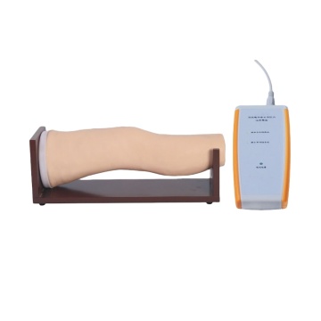 DARHMMY Medical Science Knee Cavity Injection Model for Clinical Training and Teaching