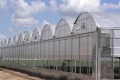 Poly Multi Span Greenhouse Film Greenhouse Bunga Greenhouse
