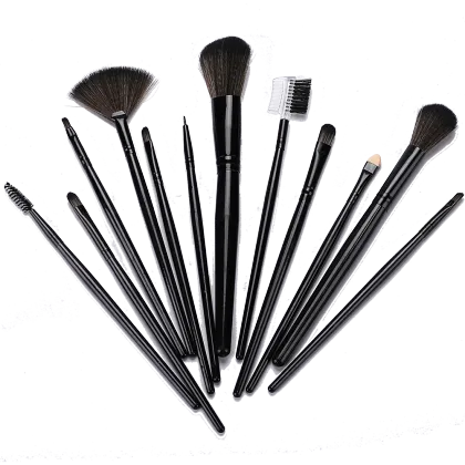 Black Makeup Brush With  Pu Bag