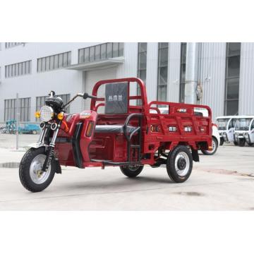 Fashion 3 Wheels Passenger Electric Tricycle