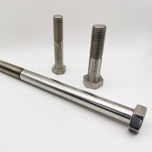 Solid Stainless Steel Hexagon Bolt