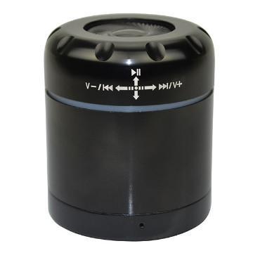 resonance speaker surface vibration speaker