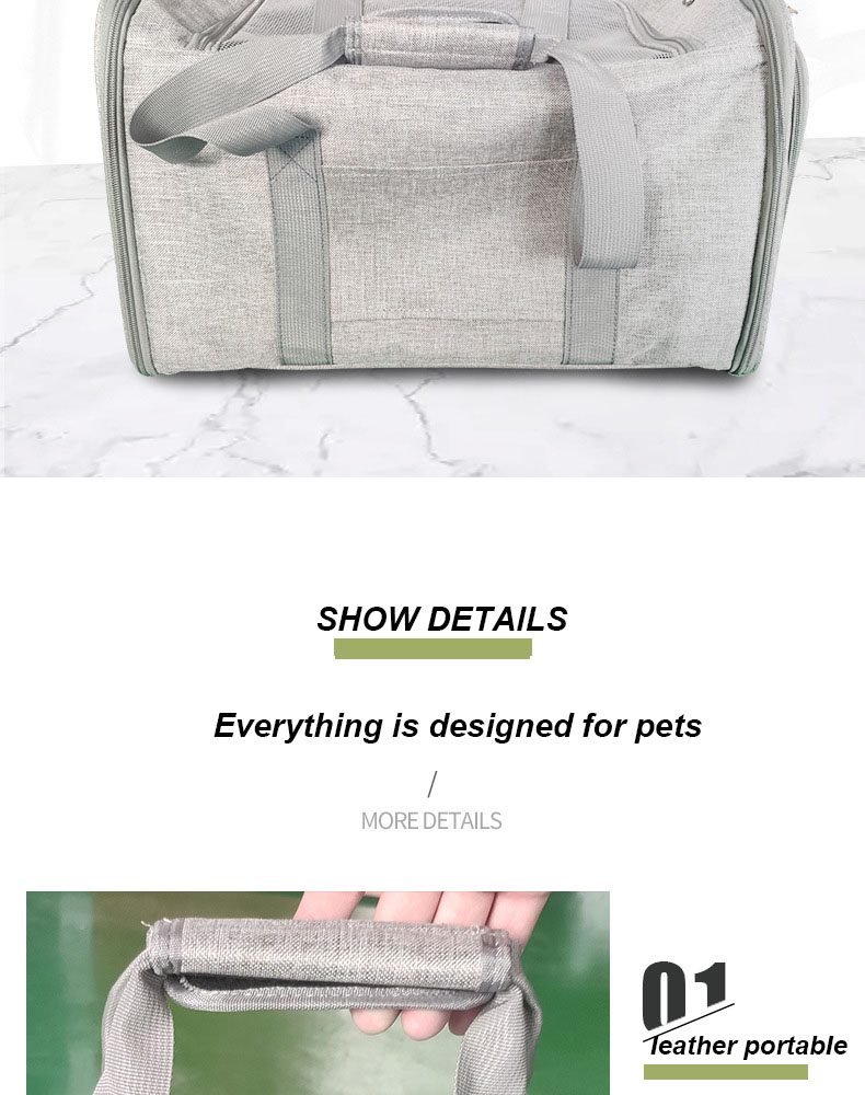 Portable Pet Carrier