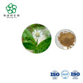 천연 eclipta prostrata bhringraj 추출물