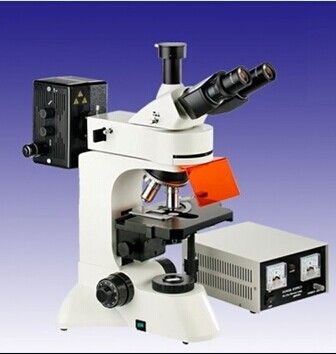 EPI- Fluorescence Microscope