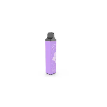 Disposable Electronic Cigarette Vape Pen