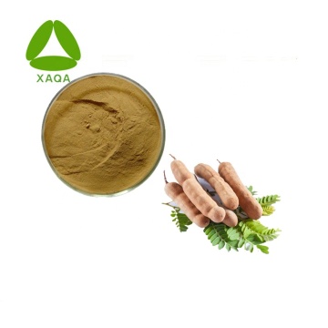 Tamarind Seed Extract Powder 10:1