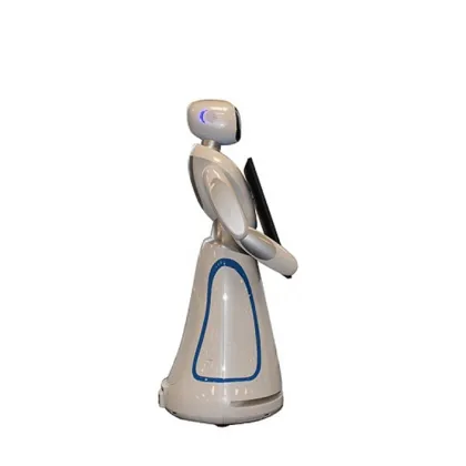 Interactive Robot For Commercial Advertising Service