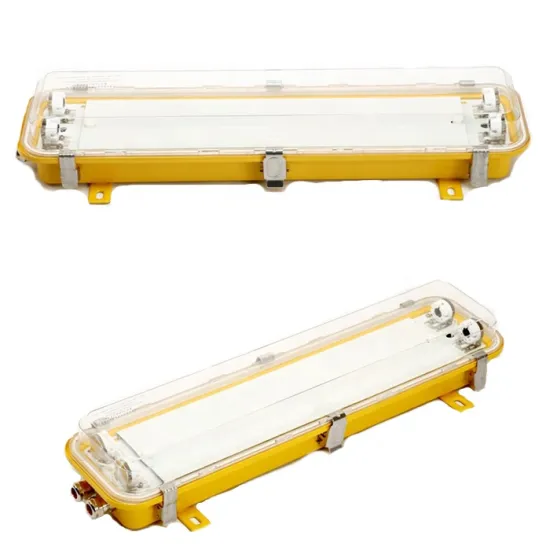 Exd IICT4 Steel Explosion Proof Fluorescent Light G13 for Marine Boats Ships Vessels 110V 220V