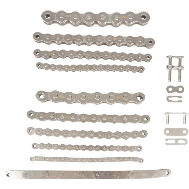 Customized Stainless Steel Conveyor Chain
