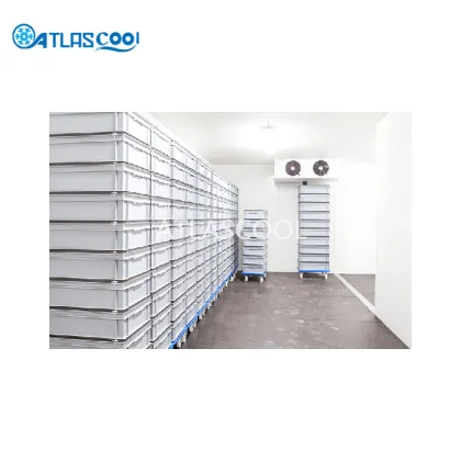 Best Ice Cream Chill Blast Freezer Room