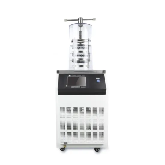 DW-12N Food Fruit Freeze Dryer Price Laboratory Freeze Dryer Machine