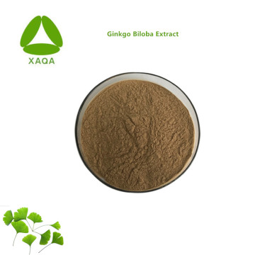 Natural Ingredients Dietary Supplement Ginkgo Biloba Extract