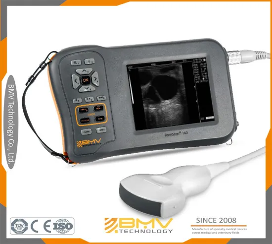 Portable Veterinary Ultrasound Machine for Fish to Avoid During Pregnancy (L60)