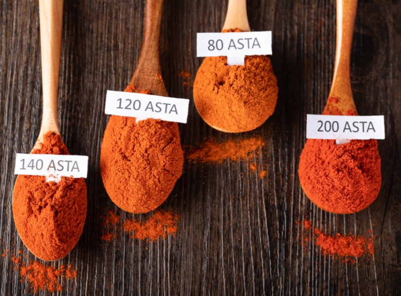 Paprika Powder 80 ASTA
