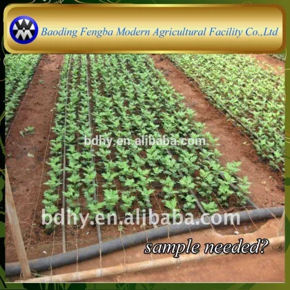 toro inner inlay drip irrigation belt with continuous flat dripper