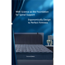 ที่นอนรองรับกระดูกสันหลังตามหลักสรีระศาสตร์เพื่อการนอนหลับสบาย