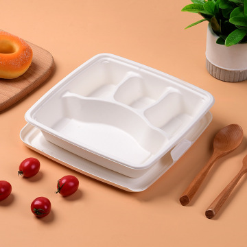Eco-Friendly Degradable Bagasse Lunch Boxes with Multiple Compartments