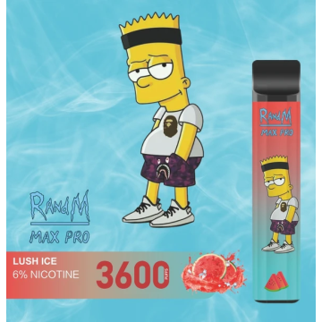 Good Price RandM Max Pro Cheap Disposable Vape