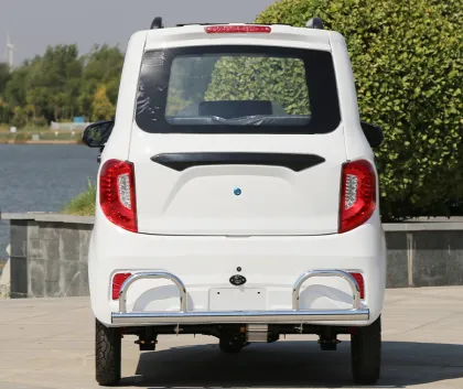 2023 Chang Li Bajaj 3 Wheeler Electric Tricycle with Lithium Battery