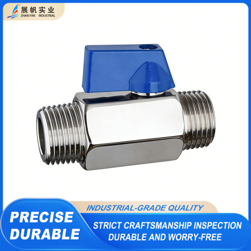 Dış Dişli Paslanmaz Çelik Mini Küresel Vana