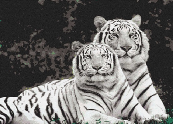 Mosaicos de animales de arte de tigre blanco y negro