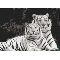 Mosaicos de animales de arte de tigre blanco y negro