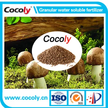 Water Soluble and Degradation Seaweed Fertilizer