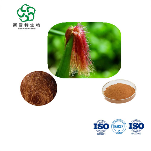 Natural Corn Silk Extract Powder